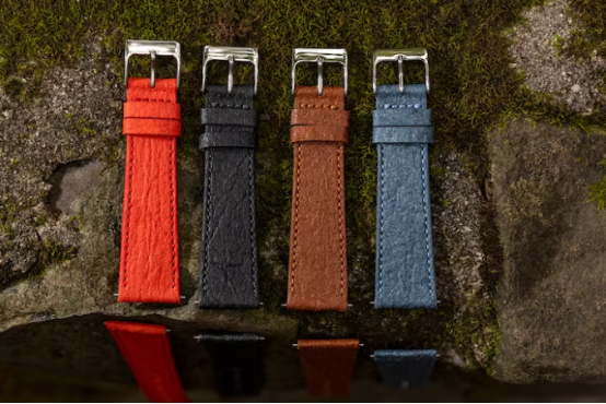 Are You Familiar with the Components of a Watch Strap?