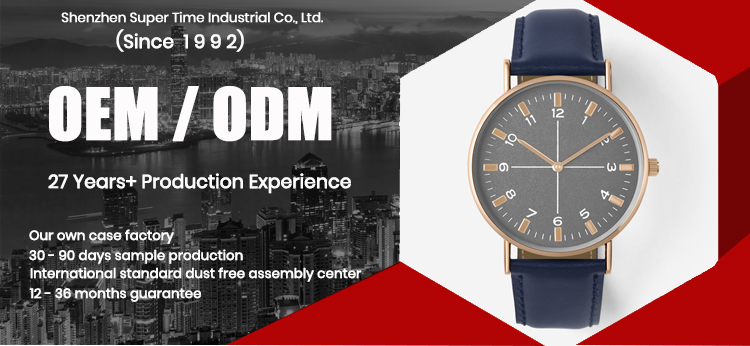 BredaWatch USA Diving Watch: ST-0022, Precision for Underwater Adventures(图1)