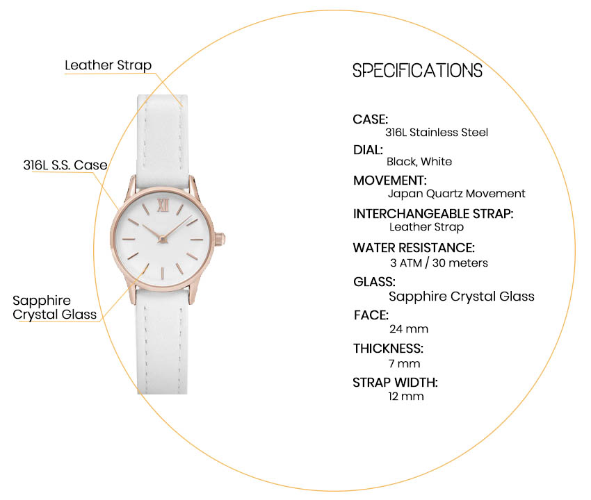 CLUSE Diving Watch: Netherlands Belt - ST-0033(图1)
