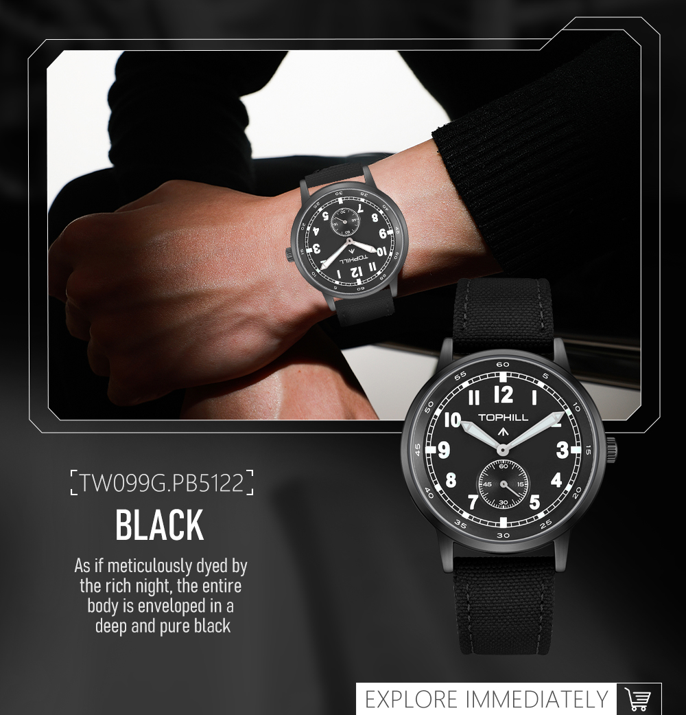 Newly designed military-style watch & TW099G(图3)